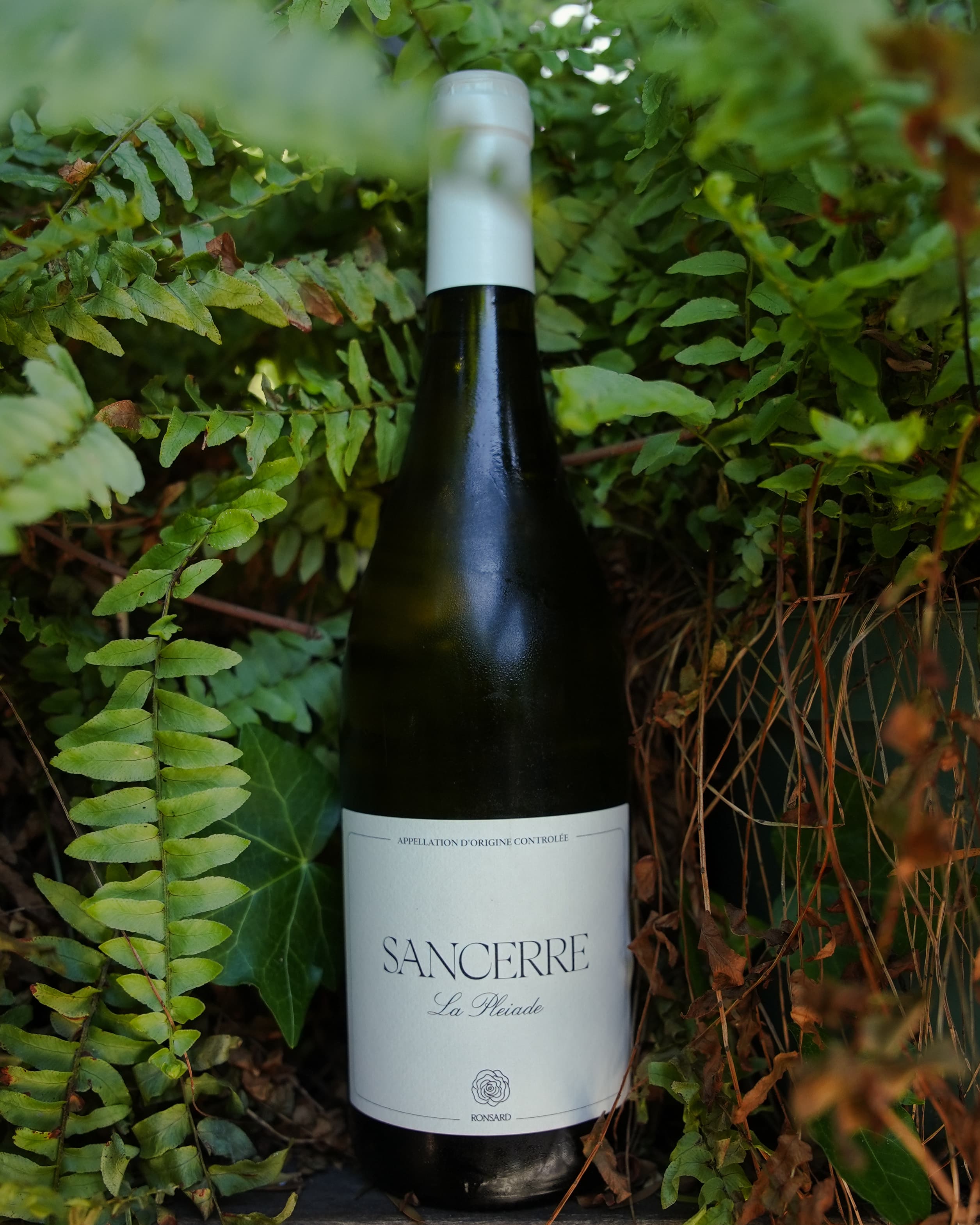 Howells — Wine Bar